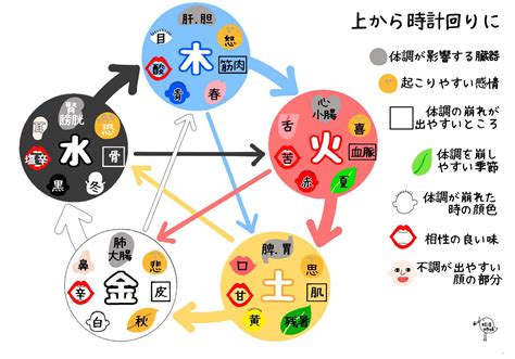 水 木 五行|五行思想